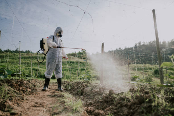 Best Mosquito Control Services  in Helena West Helena, AR