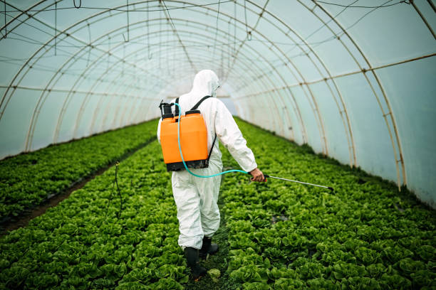 Best Pest Control Near Me  in Helena West Helena, AR