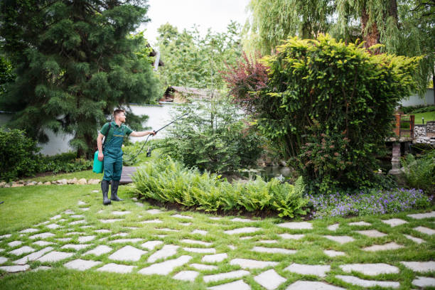 Best Ant Control Services  in Helena West Helena, AR