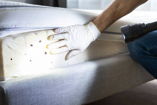 Best Pest Prevention Services  in Helena West Helena, AR
